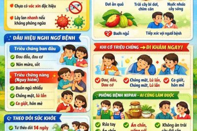 Thông tin về dịch bệnh do vi rút nipah và khuyến cáo phòng chống tại Việt Nam